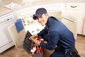 Best Plumbing System Maintenance  in Fkville, AL